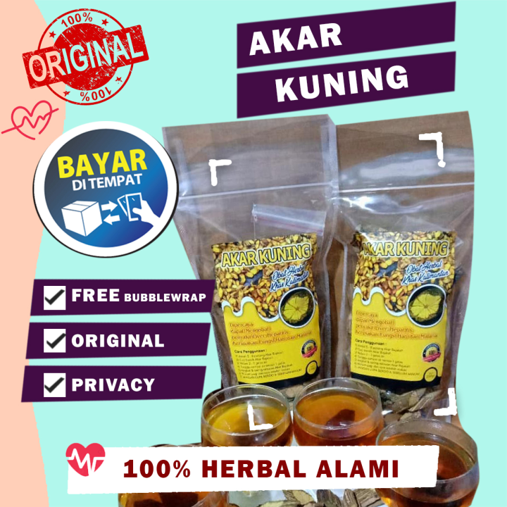 Kayu Bajakah Ori Sedia Akar Kuning Gram Bajakah Asli Kalimantan