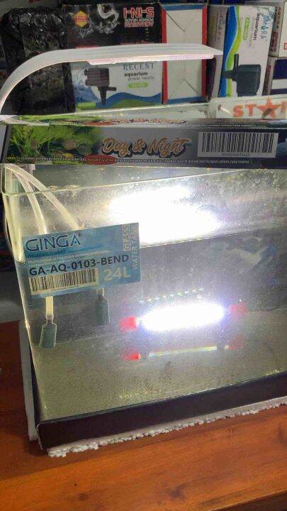 Lampu Led Aquarium Celup RECENT DAY NIGHT N T4 LED N 20 Untuk 20 Cm