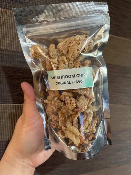 Mushroom Chicharon Grams Sampler Pack Lazada Ph