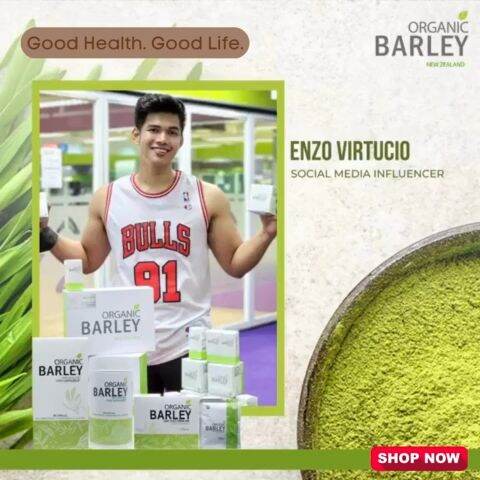 Pure Organic Barley Leaf Juice Drink Mix Powder Lazada Ph