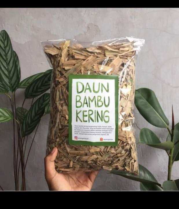 1 KG DAUN BAMBU KERING MEDIA TANAM Lazada Indonesia