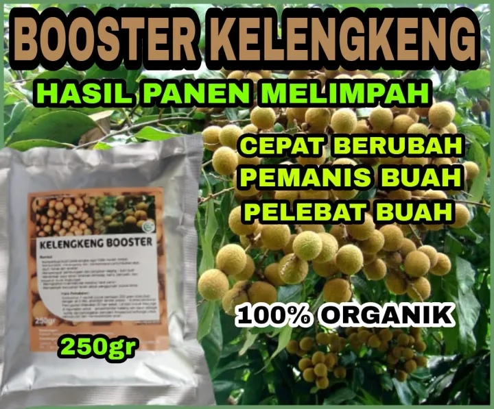 PUPUK ORGANIK BOOSTER BUAH KLENGKENG AGAR CEPAT BERBUAH DAN LEBAT