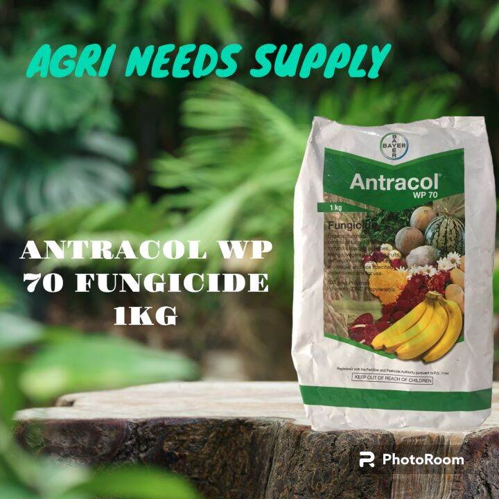 Antracol W70 Fungicide 1kg Lazada PH