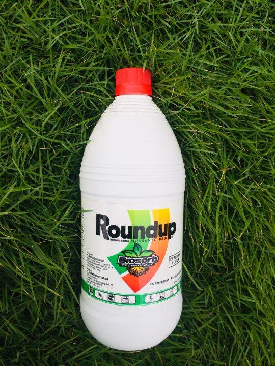 ROUNDUP 486 SL 1 Liter HERBISIDA Lazada Indonesia