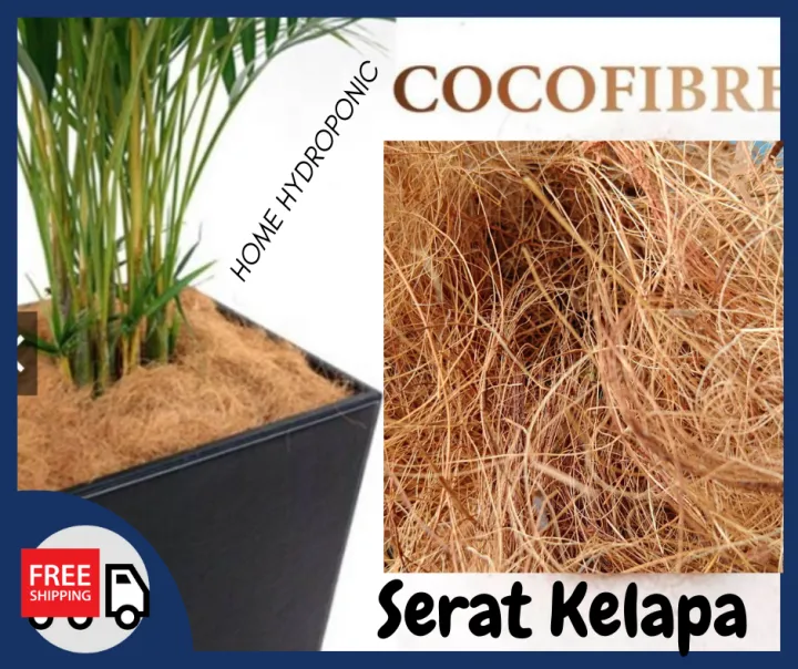 SERAT KELAPA COCO FIBER SABUT KELAPA UNTUK HIASAN PASU Lazada