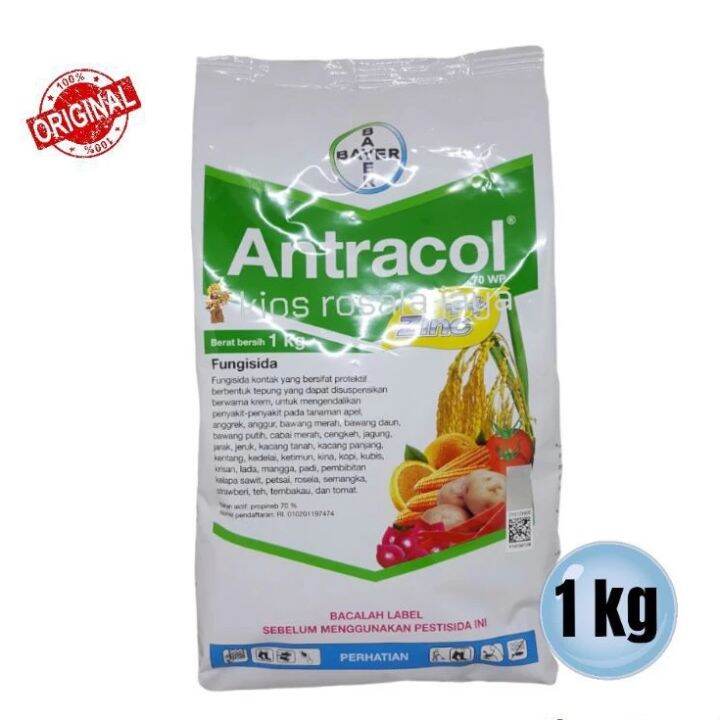 Fungisida Antracol Wp Kemasan Kg Lazada Indonesia