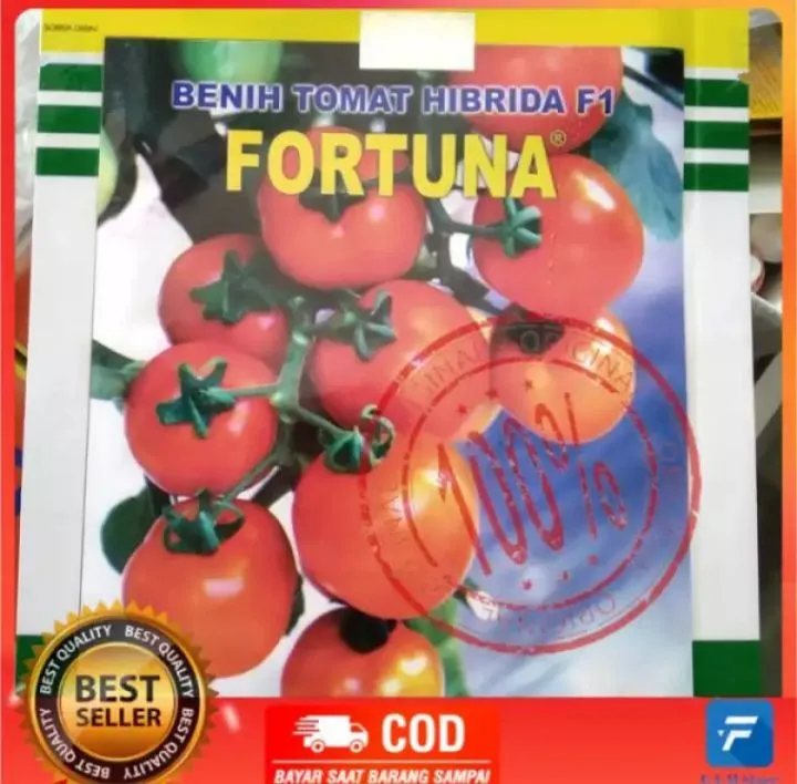 Ready Benih Tomat Fortuna Hibrida F Gr Lazada Indonesia