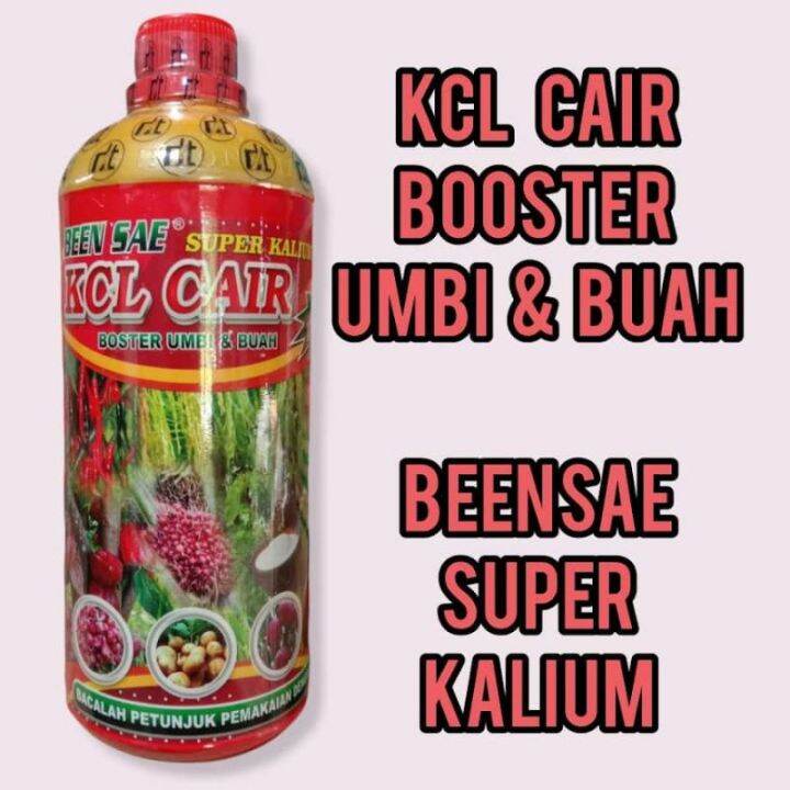 Pupuk Kcl Cair Been Sae Liter Booster Umbi Dan Buah Lazada Indonesia