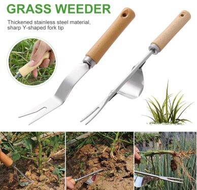 Household Grass Pulling Grass Digging And Wild Vegetables Practical