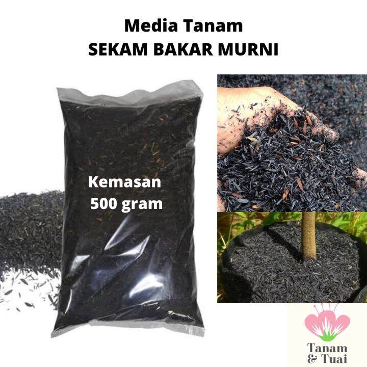 Media Tanam Sekam Bakar Kemasan 500 Gram Lazada Indonesia