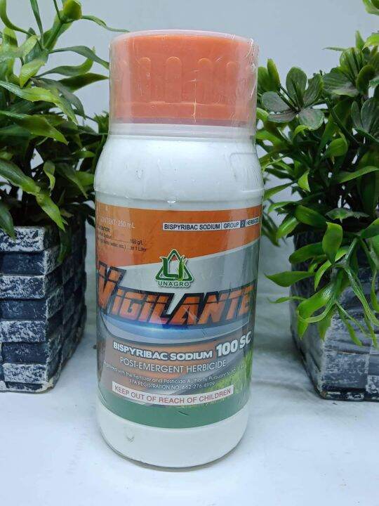 Vigilante Bispyribac Sodium 100 SC 250 ML Lazada PH