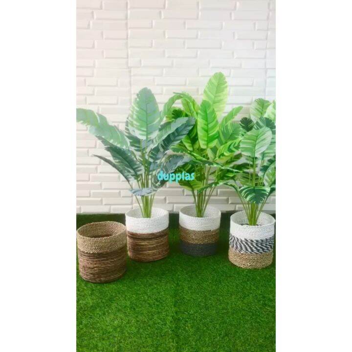 Pohon Artificial Daun Musa Florida X Semi Latex Cover Pot Anyaman