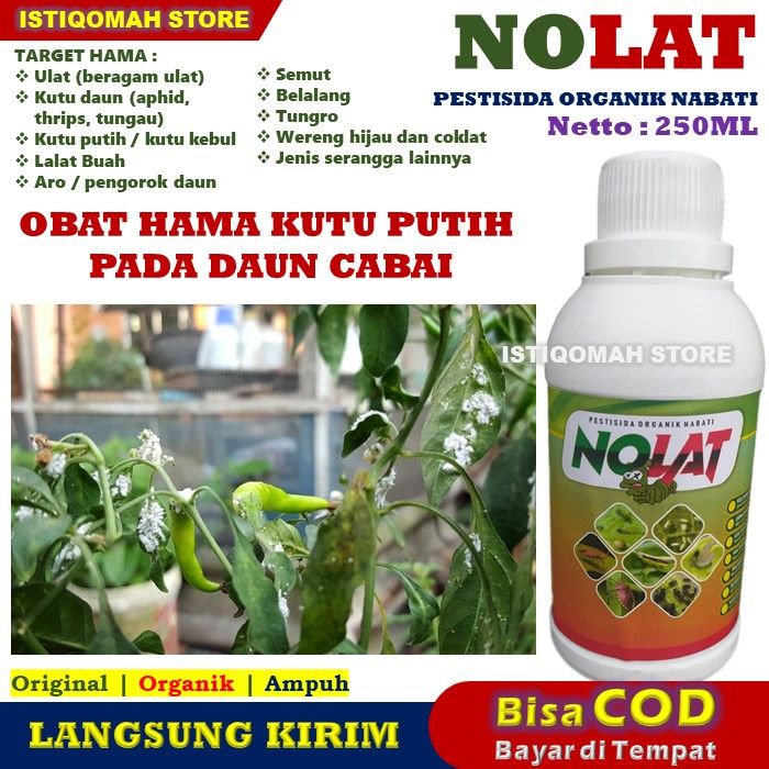 Obat Semprot Kutu Putih Pada Daun Cabai Nolat Ml Pestisida Organik