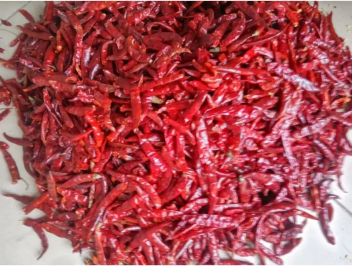 Cabe Kering Pedas Cabe Merah Cabe Teja Kemasan Kg Lazada Indonesia