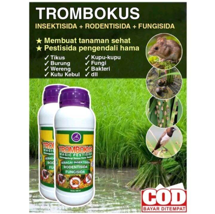 Fungisida Trombokus Mengatasi Kriting Cabai Ml Insektisida