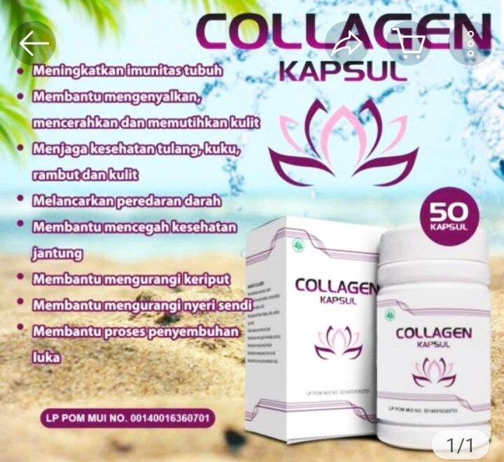 Collagen Kapsul Original Isi Nutrisi Kulit Lazada Indonesia