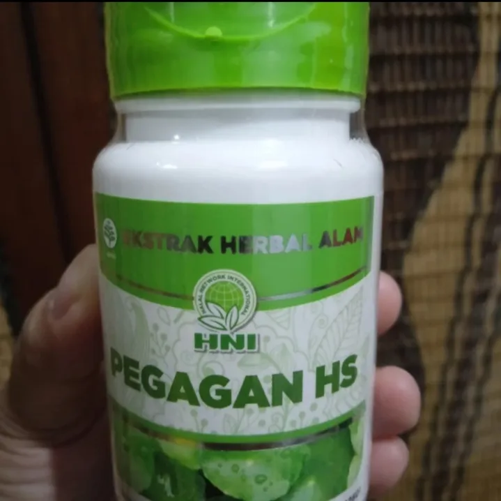 PEGAGAN HS HNI Lazada Indonesia