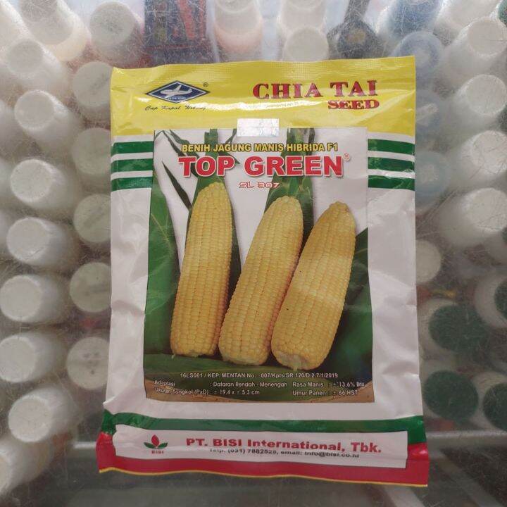 Benih Jagung Manis Hibrida F Top Green Sl Berat Gram Lazada