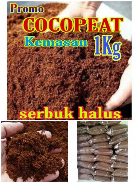 Kg Media Tanam Cocopeat Sabut Kelapa Cocopit Lazada Indonesia