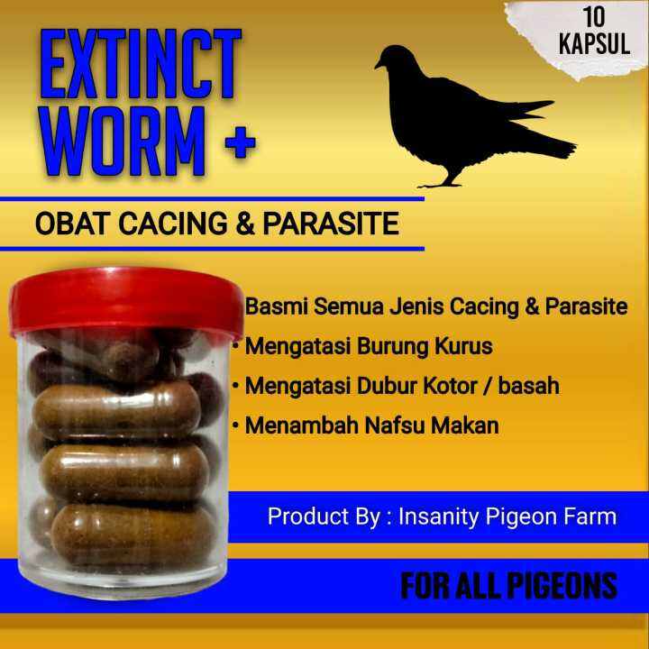 EXTINCT WORM OBAT CACING DAN PARASITE MERPATI KEMASAN REPACK ISI 10