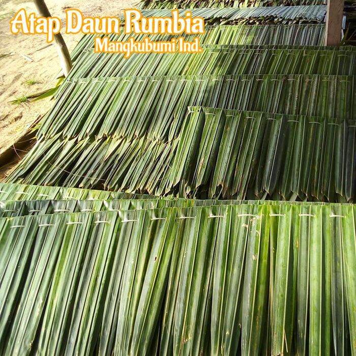 Atap Daun Rumbia Atap Dahon Atap Gazebo Natural Lazada Indonesia