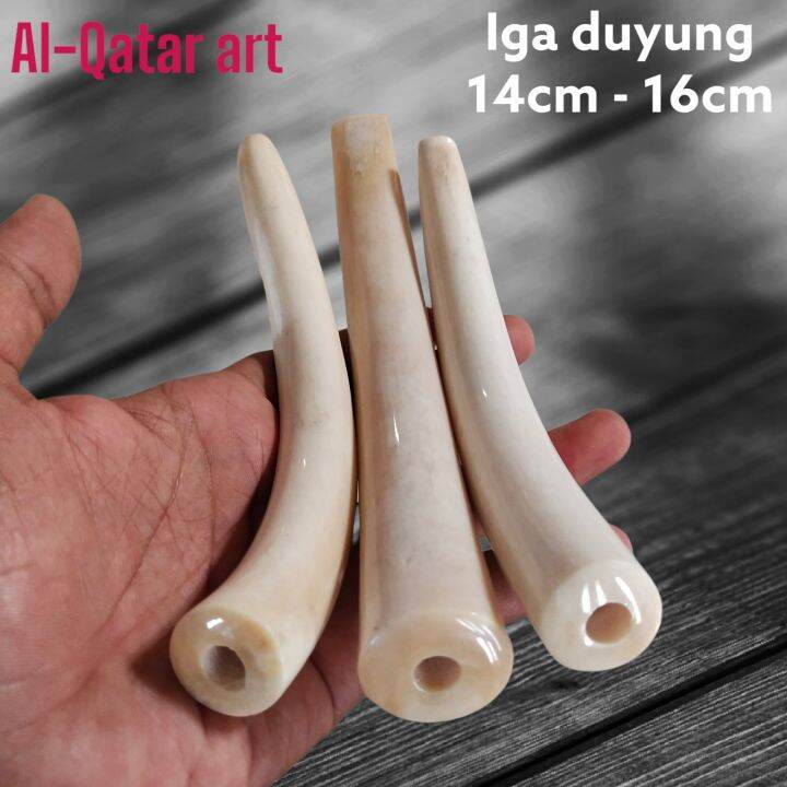 Once Pipa Roko Tulang Iga Duyung Bulat Super Lazada Indonesia