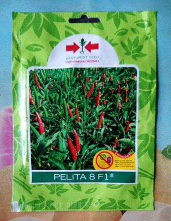 DIJAMIN ORI Benih Cabe Pelita 8 F1 350 Biji 100 Original Cap Panah