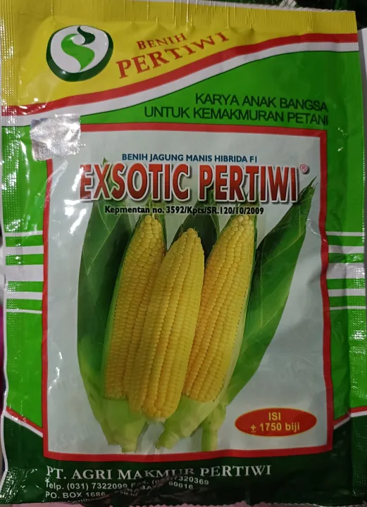 Benih Jagung Manis Exsotic F Berat Gram Lazada Indonesia