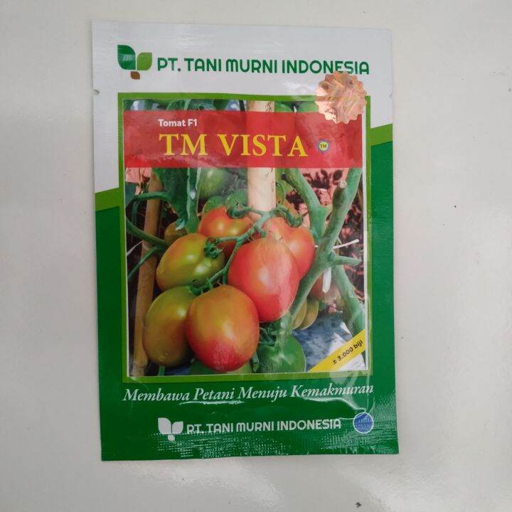 3000 BIJI BENIH TOMAT HIBRIDA TM VISTA 10 GRAM TANI MURNI Lazada