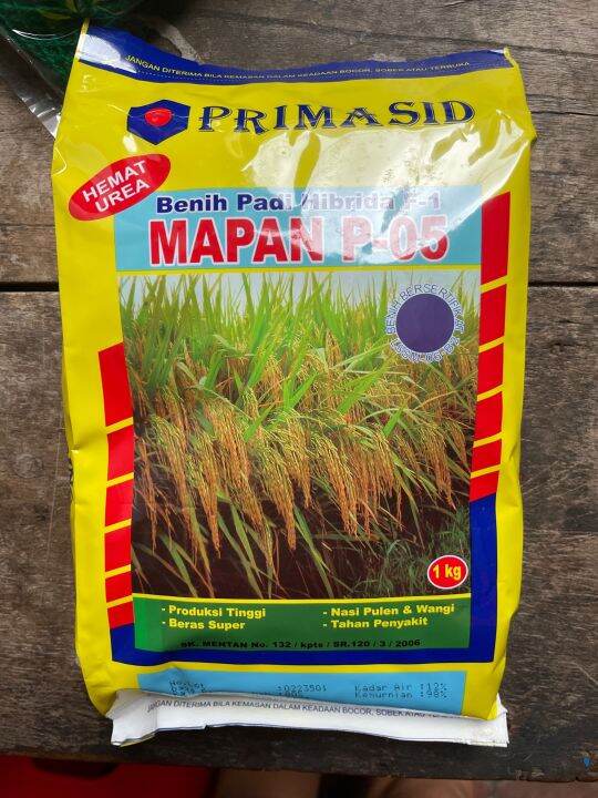 Benih Padi Mapan P 05 F1 Hibrida 1kg Exp 11 23 Lazada Indonesia