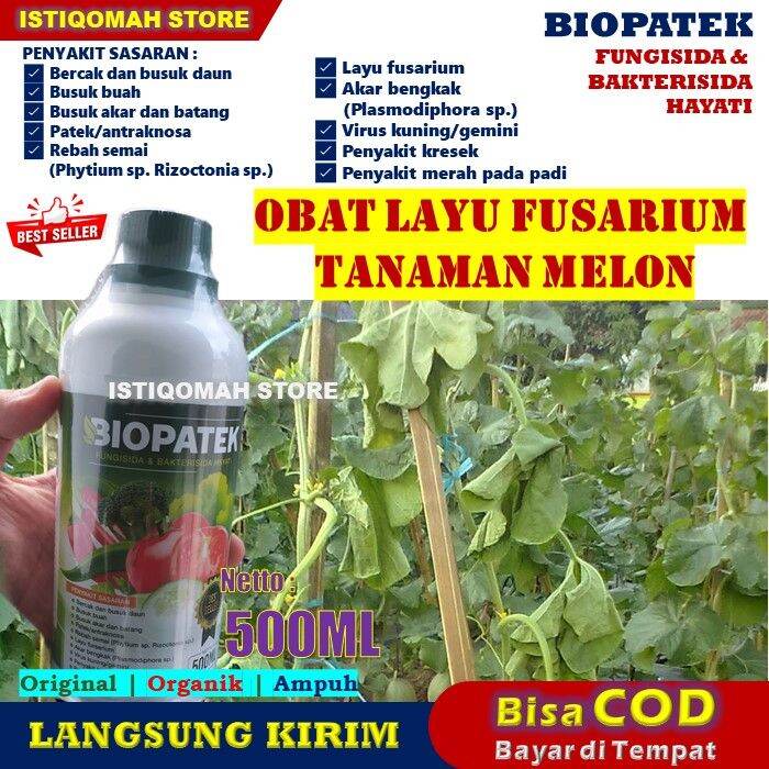 Pupuk Pencegah Layu Daun Dan Batang Melon BIOPATEK 500ML Fungisida Dan