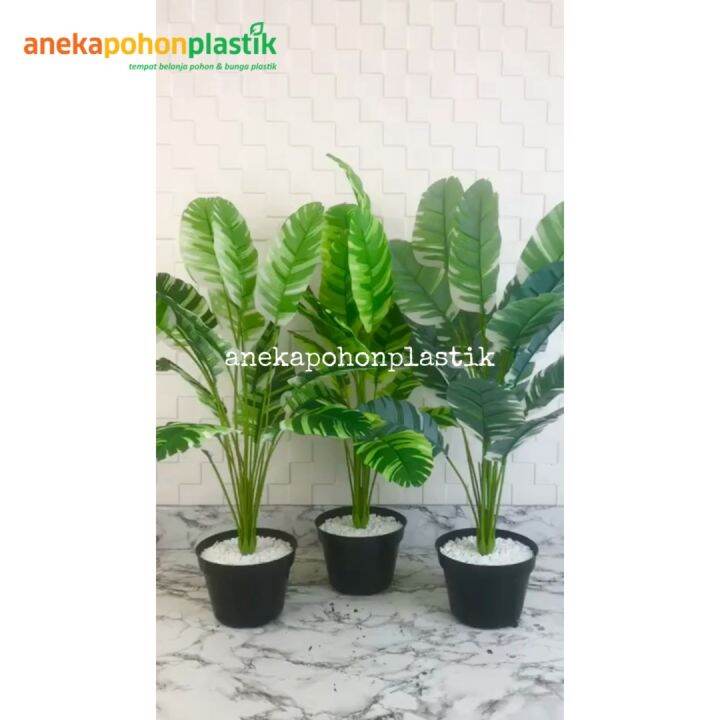 Pohon Artificial Pohon Plastik Daun Musa Florida X Semi Latex Pot