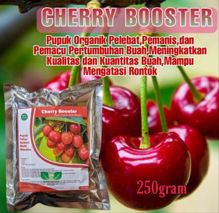 Pupuk Booster Organik Pelebat Buah Cherry Agar Cepat Berbunga Dan