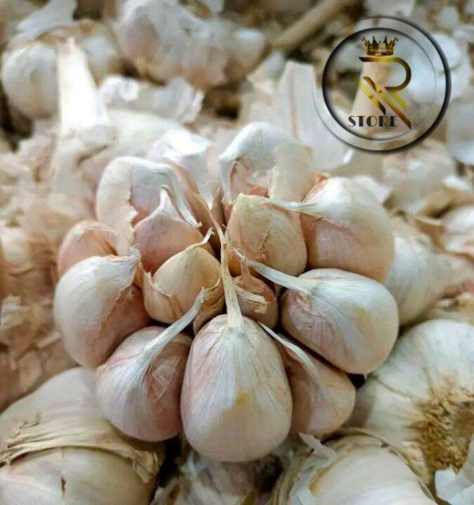 BAWANG PUTIH SEGAR 1KG Lazada Indonesia