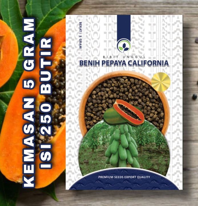 Benih Bibit Pepaya California Unggul Kemasan 5 Gram 250 Biji Lazada