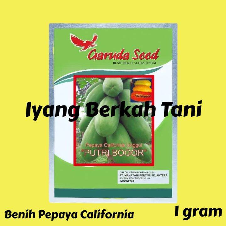 Benih Bibit Pepaya California Unggul PUTRI BOGOR 1 Gr Garuda Seed