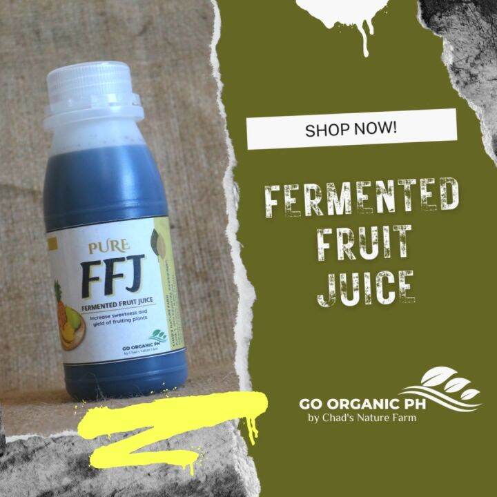 GO ORGANIC FFJ PURE Fermented Fruit Juices Banana Squash Papaya