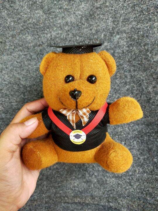 Beruang Mini Wisuda Cm Boneka Teddy Bear Wisuda Beruang Mini Beruang