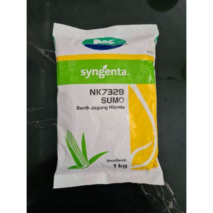 BENIH JAGUNG HIBRIDA NK 7328 SUMO SYNGENTA KEMASAN 1 KG Lazada Indonesia