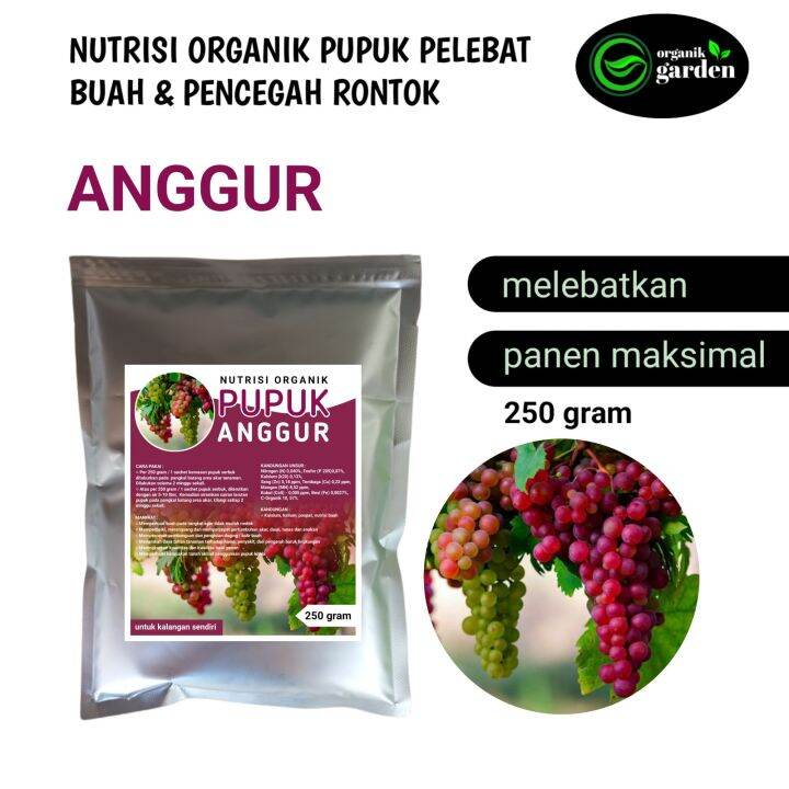 Pupuk Pelebat Buah Anggur Booster Nutrisi Organik Gram Lazada