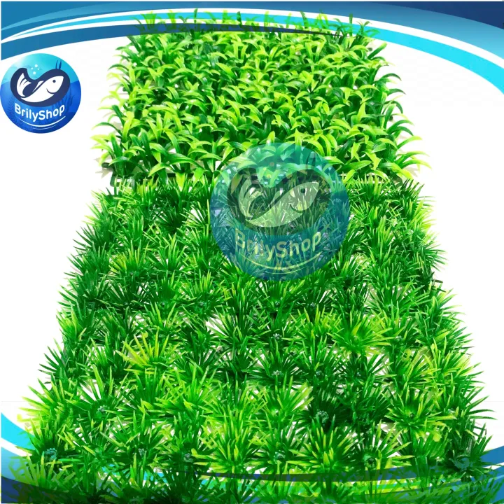 Rumput Sintetis X Cm Hiasan Rumput Dasar Aquarium Aquascape