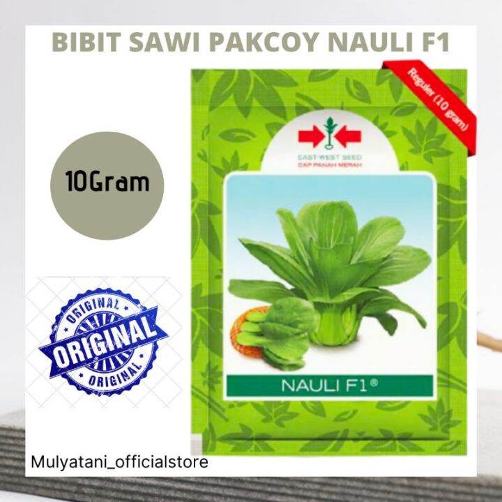 Bibit Benih Sayuran Siap Tanam Unggul Sawi Pakcoy Nauli F1 10 Gram