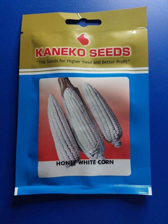 Honey White Corn Grams Lagkitan Waxy Corn By Kaneko Seeds