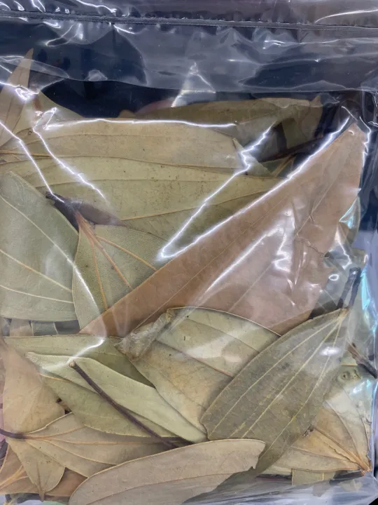 Bay Leaf Indian Daun Briyani 月桂叶 READY STOCK 20gm Lazada