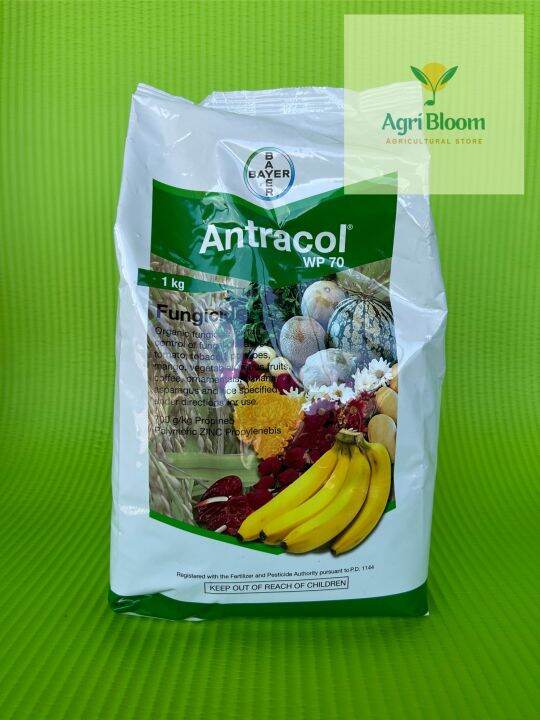 Antracol WP 70 Fungicide 1 Kilo BAYER Lazada PH