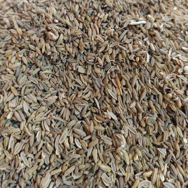 Adas Manis Utuh Adas Manis Biji Fennel Seed Lazada Indonesia