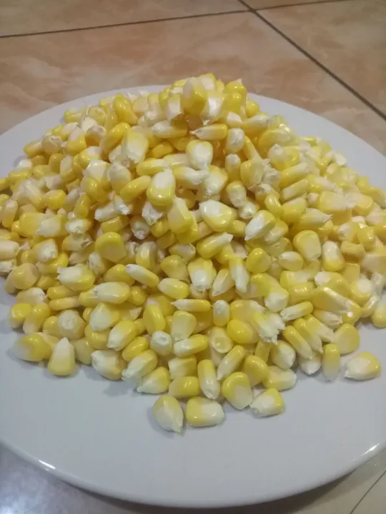 Jagung Pipil Jasuke G Lazada Indonesia