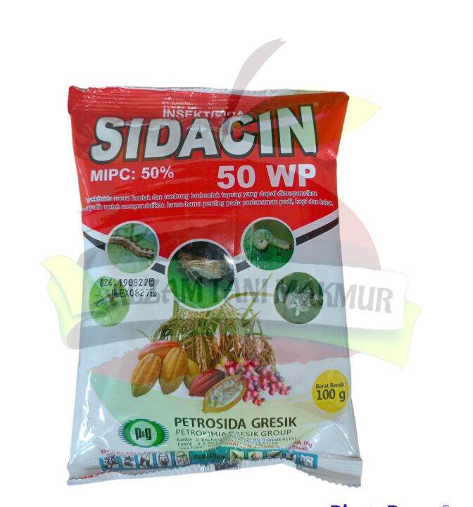 Insektisida Pembasmi Hama SIDACIN 50 WP Isi 100gr Bahan Aktif 50g Liter