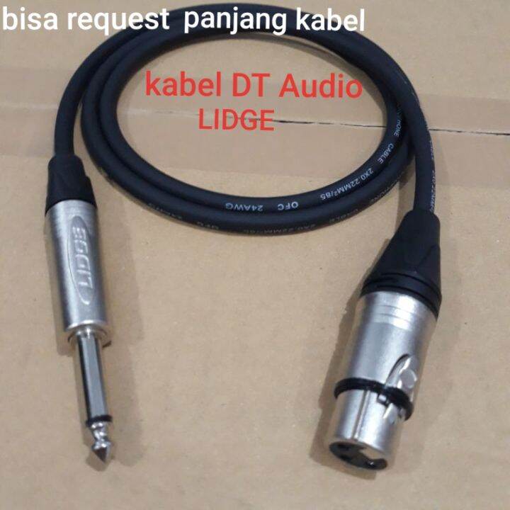 Kabel Dt Audio Meter Jack Lidge Akai Mono To Xlr Female Lazada