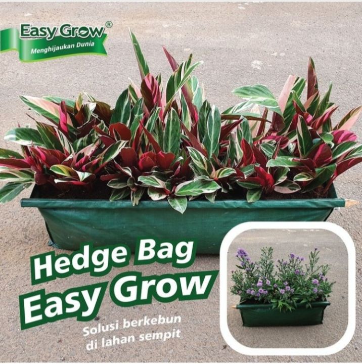 HEDGE LARGE PLANTER BAG EASY GROW HIJAU PLANTER MENANAM TANAMAN